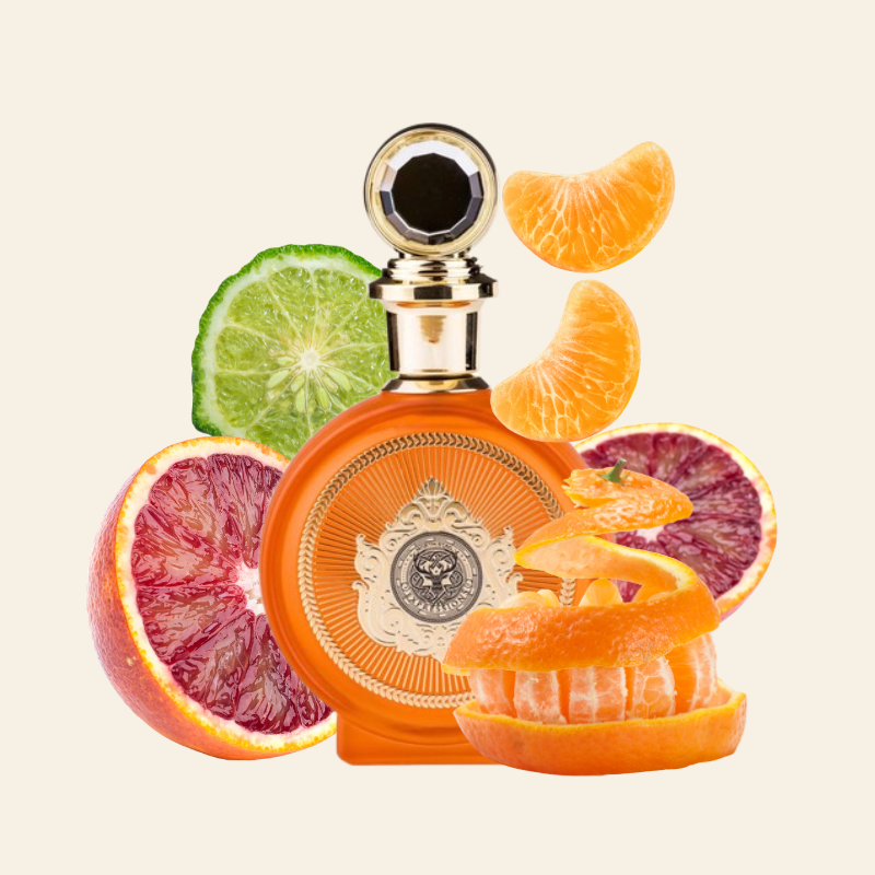 EXPRESSIONS 4 QUATRE- NORTH STAG PARIS CORNER | Eau De Parfum Cítrico y Especiado 100ml