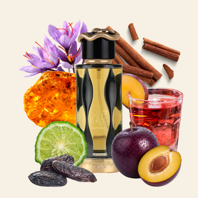 TERIAQ INTENSE - LATTAFA | Eau de Parfum Unisexe Ambre Épicé 100ml