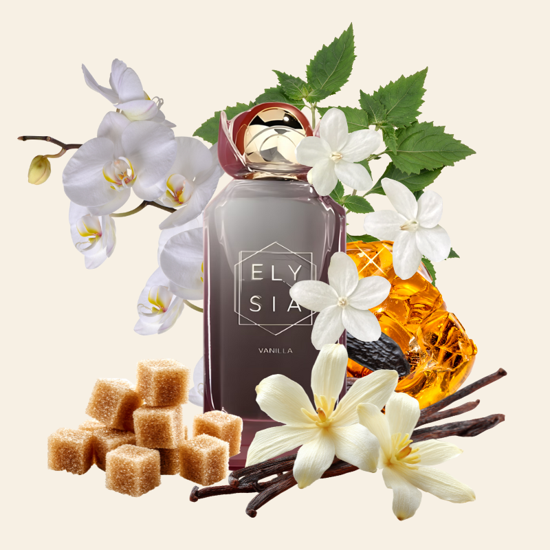 ELYSIA VANILLA - FRAGRANCE WORLD | Femenino Oriental y Avainillado Eau de Parfum 100ml